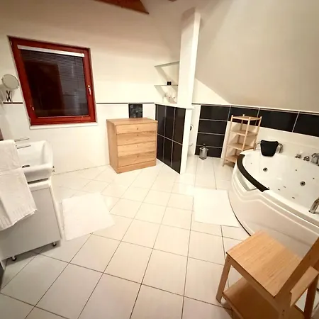 Wellness Tatry Dağ evi *